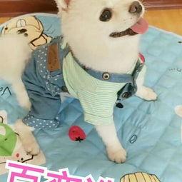 玩偶变成人了帅哥视频,变身帅气男神的奇幻之旅